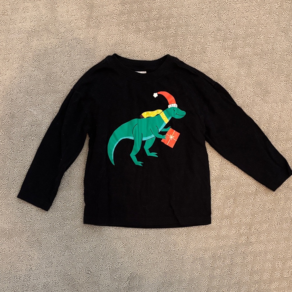 Christmas Hanna Andersson Dinosaur Tee